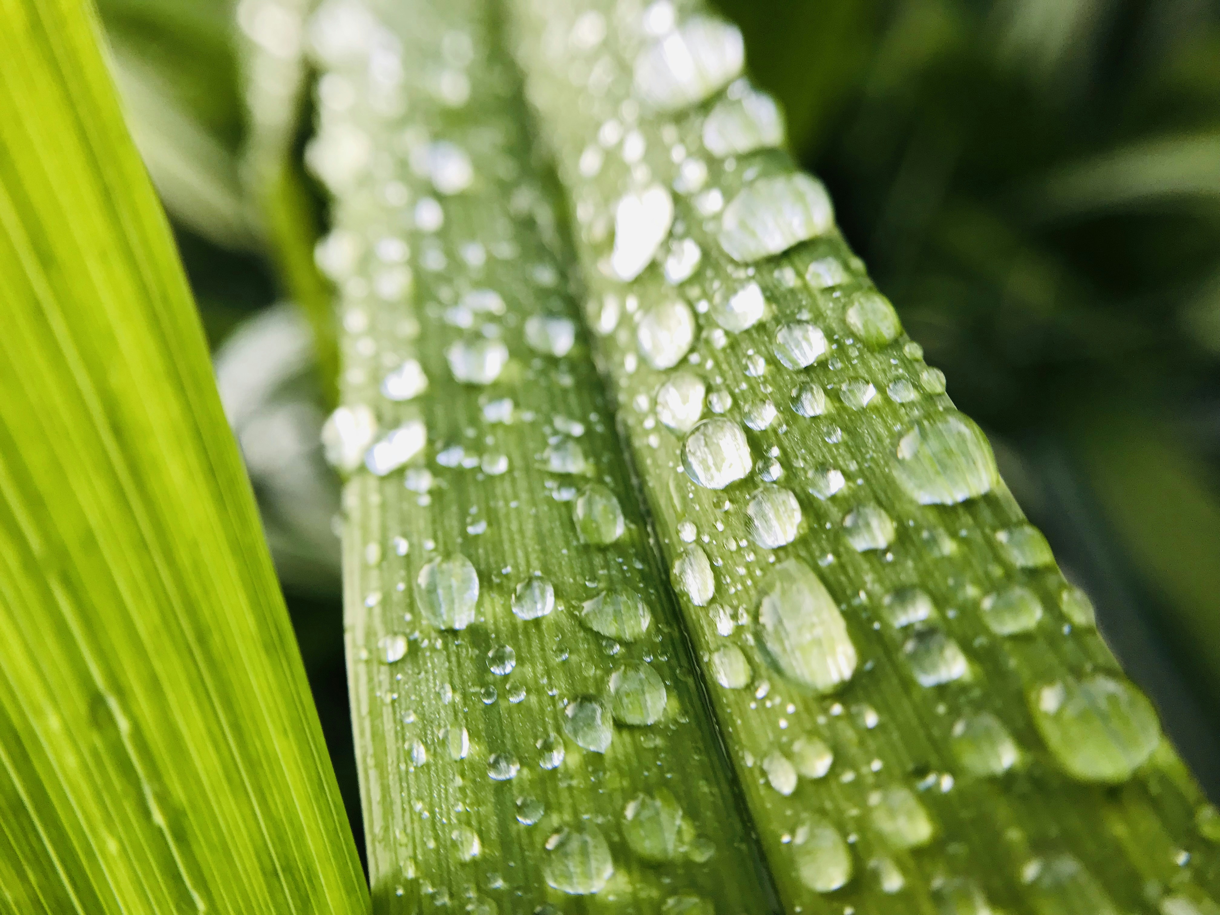 Photo by mickeyarmenta5