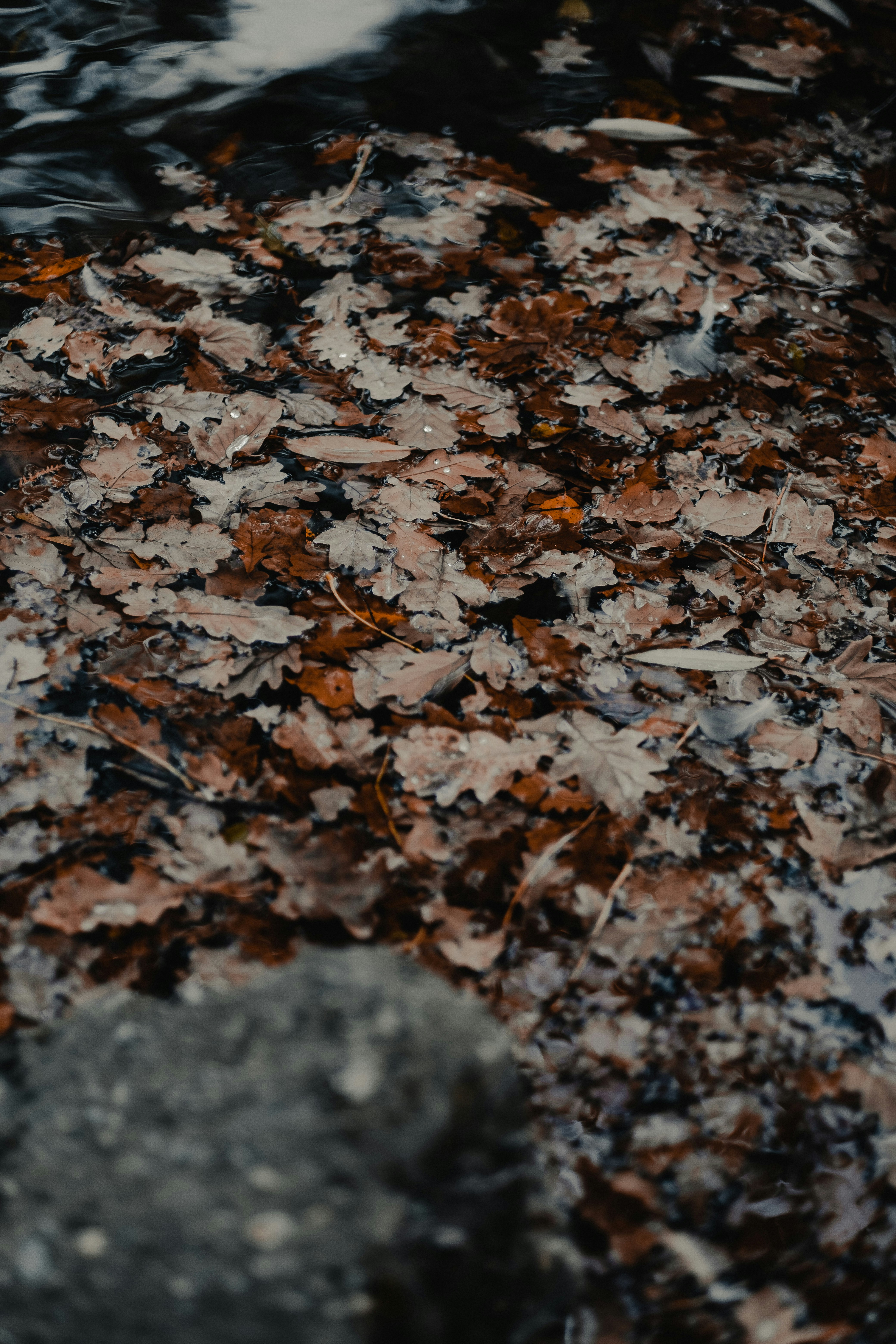 Photo by patresinger