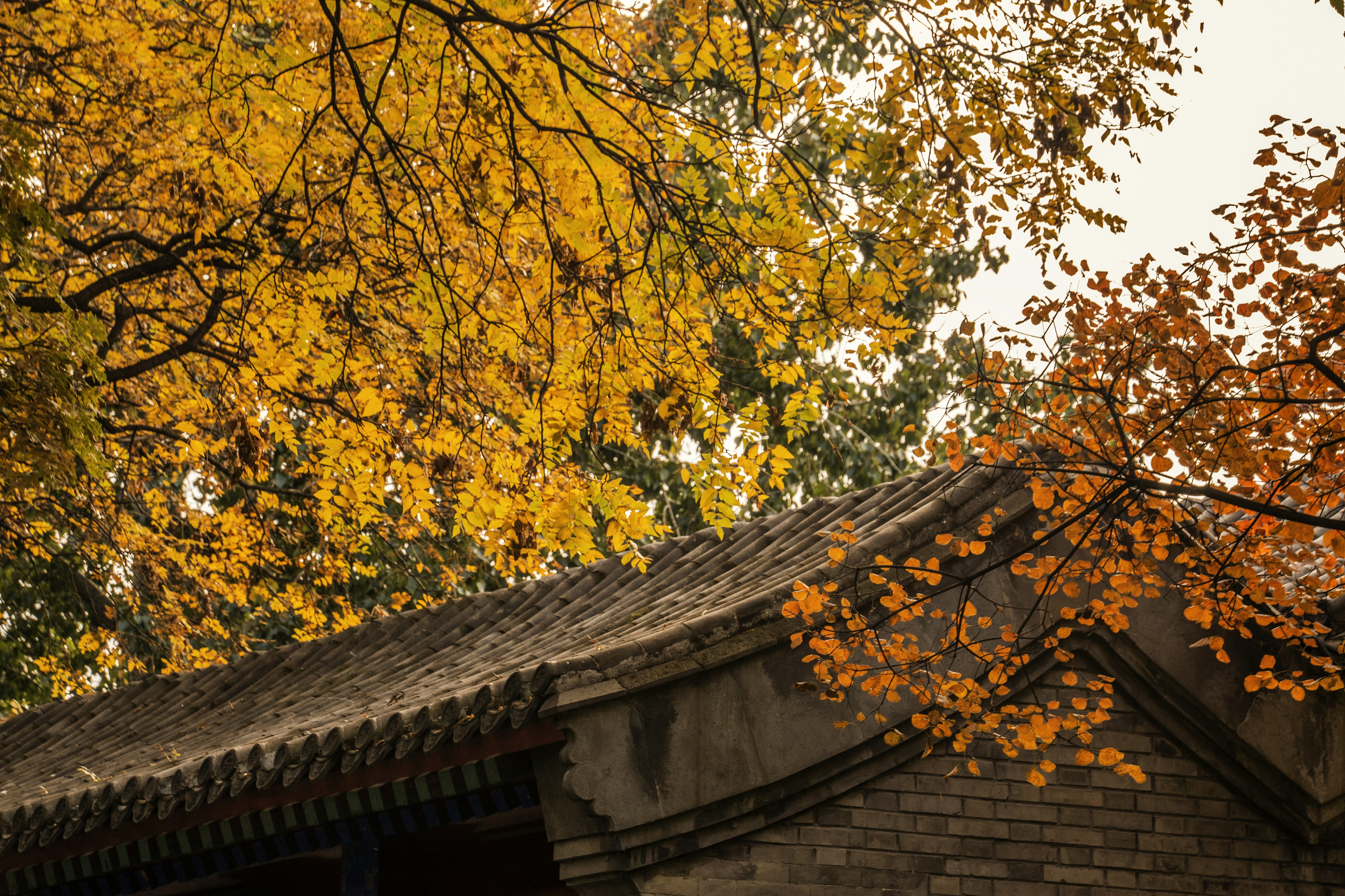 Photo by tanhaoly