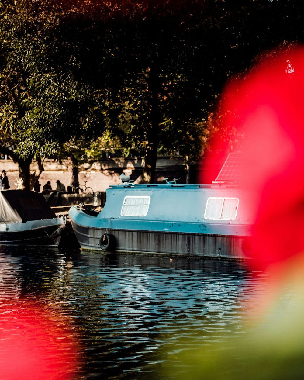 Blaues und graues Boot umgeben von Bäumen