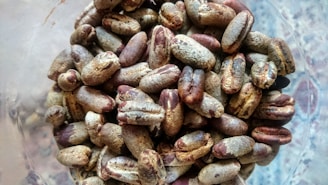 A close-up view of a pile of coffee beans with a raw and unroasted appearance. The beans have a mix of brown and dusty cream colors, with some surface imperfections visible. The background appears slightly blurred, emphasizing the texture and details of the beans.