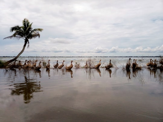 photo of Kottayam Shore near Kerala Backwaters