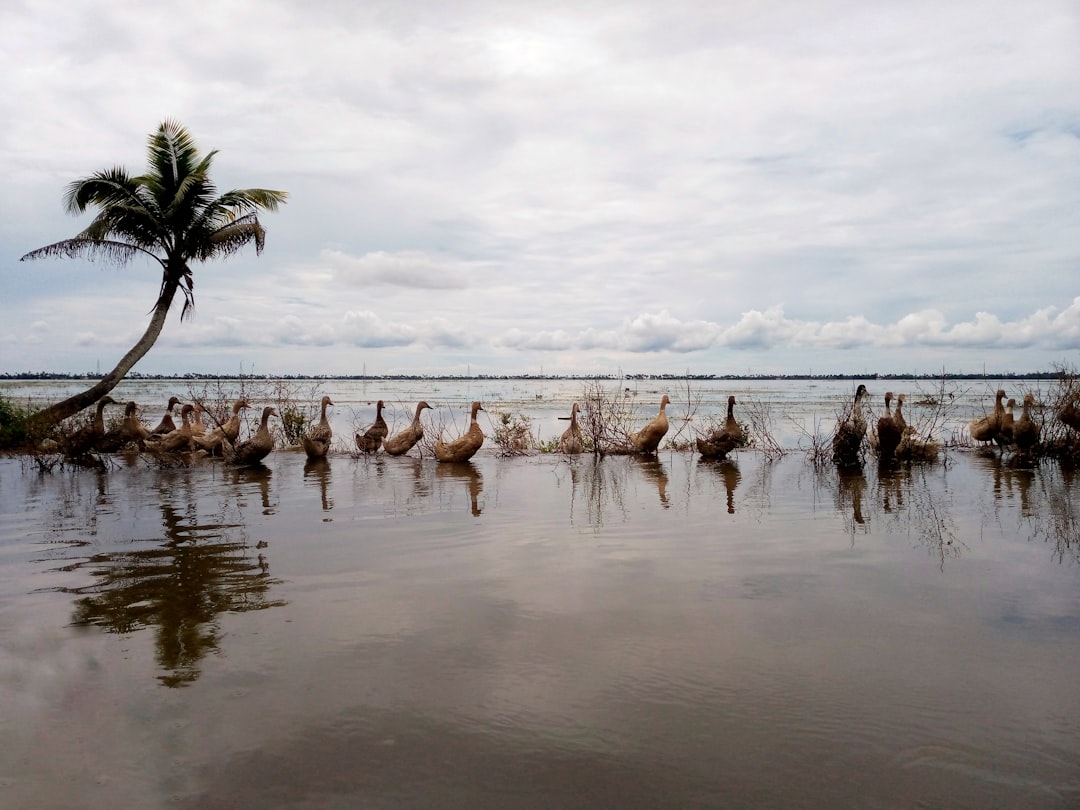 Shore photo spot Kottayam Varkala