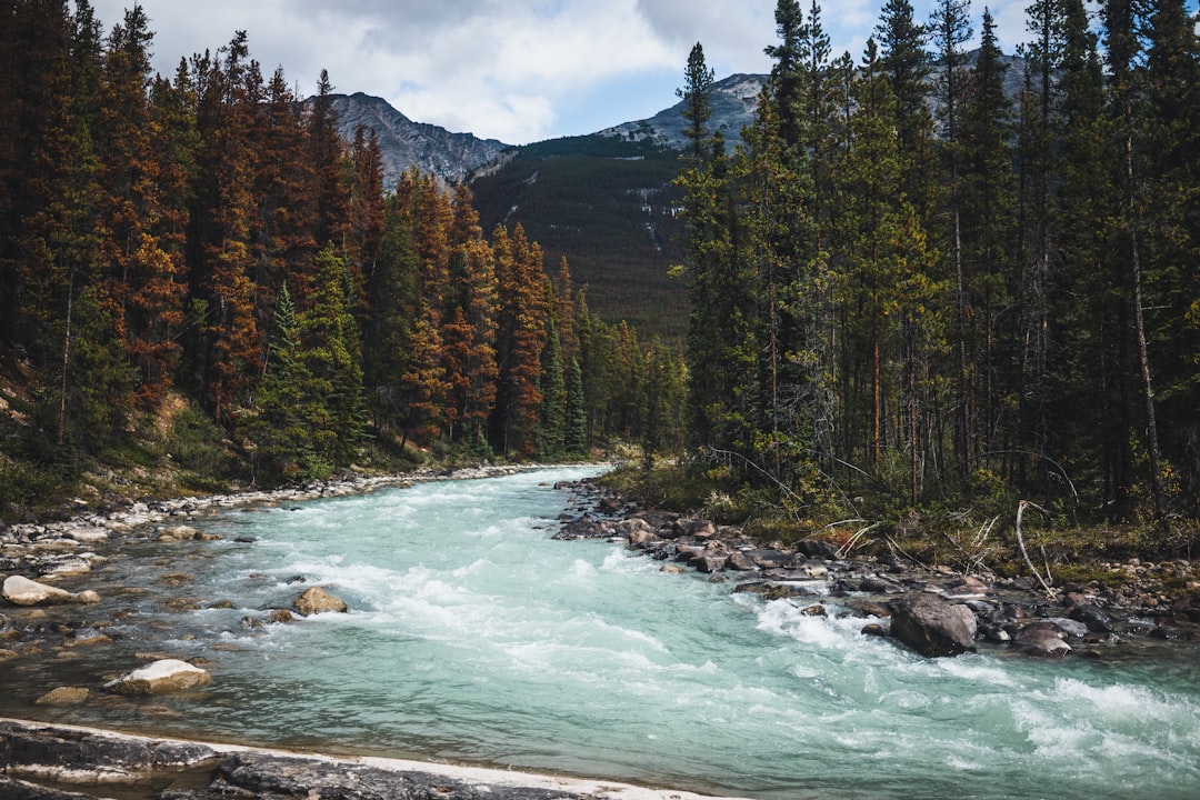 travelers stories about Mountain river in Jasper, Canada