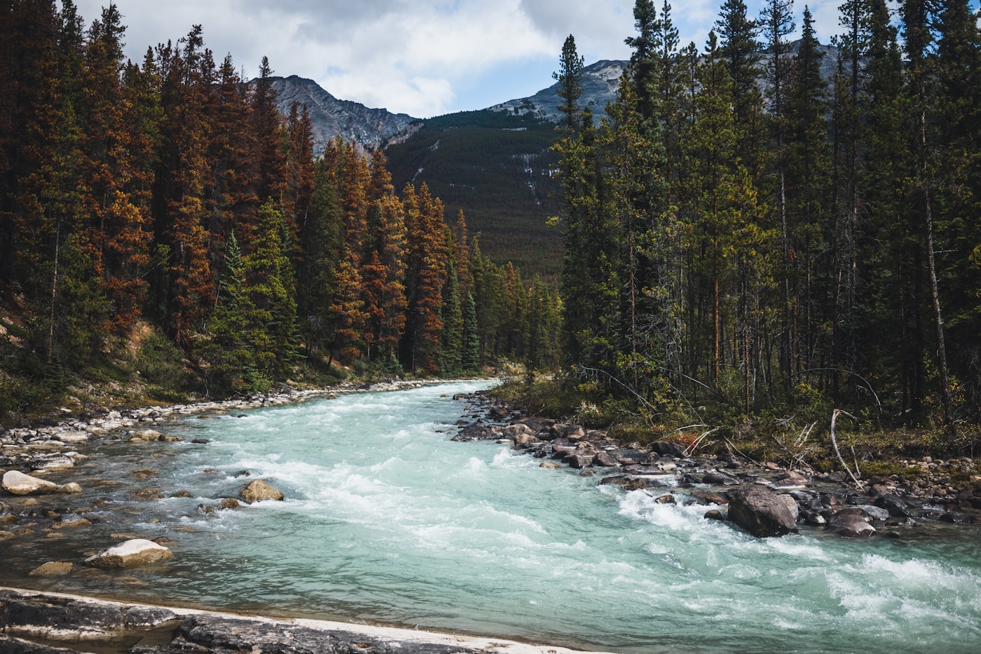 Hotels in Jasper under $300