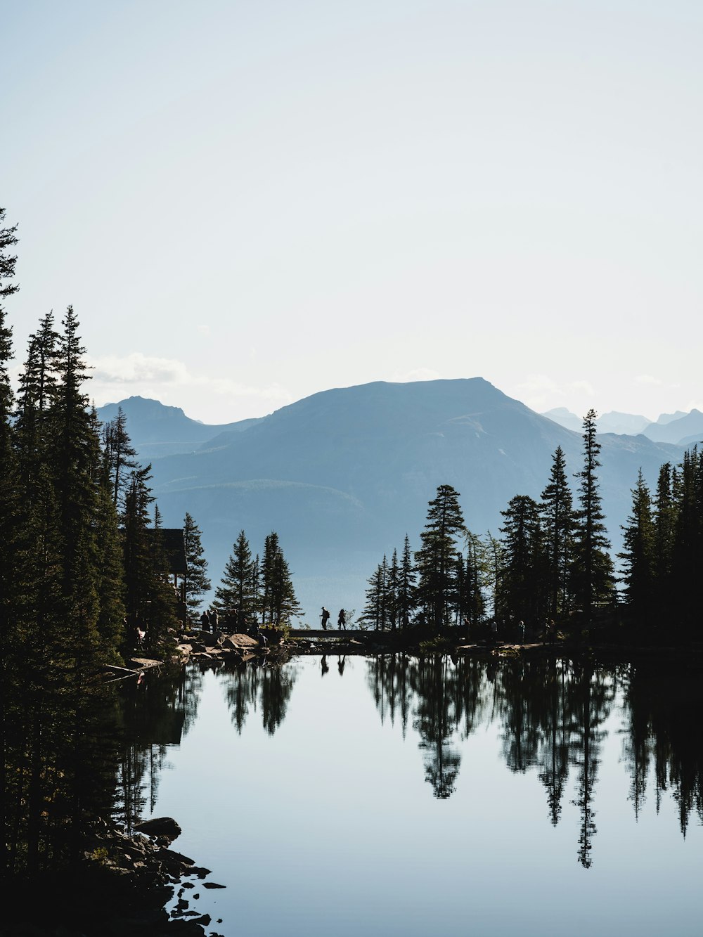 body of water surrounded by trees under white sky