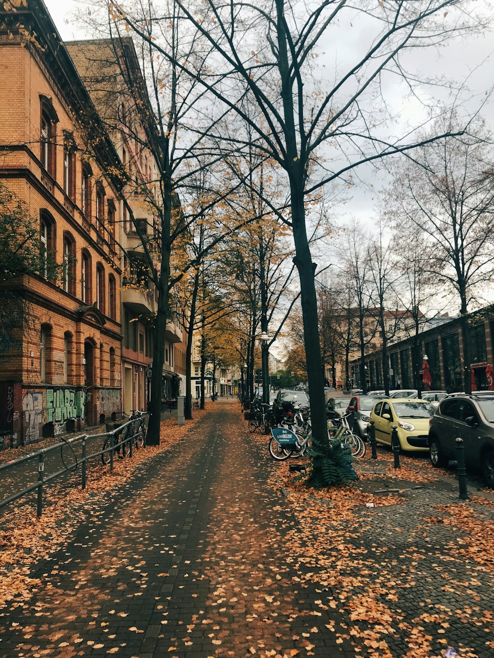 brown concrete building and withered trees