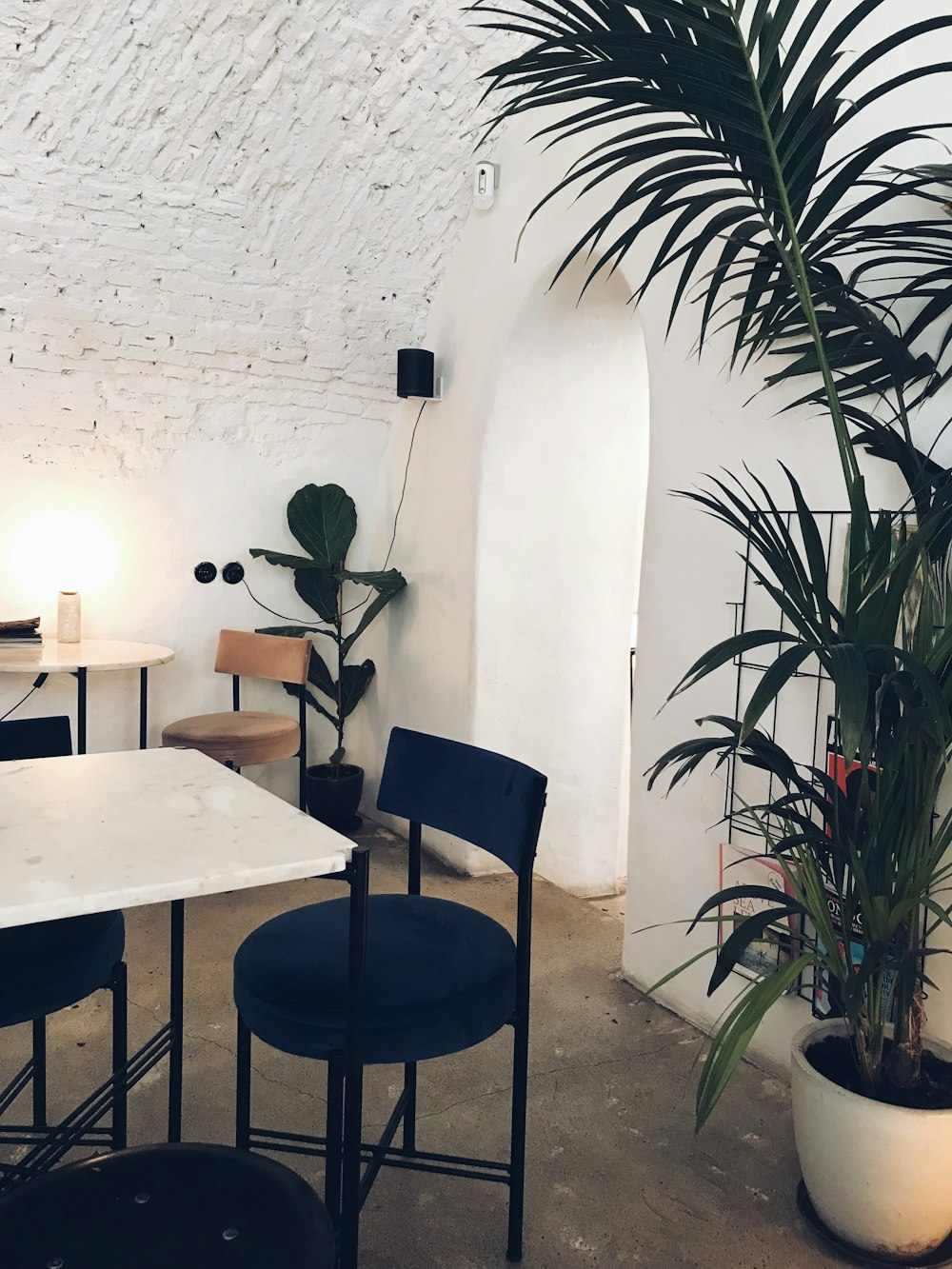 potted plant beside a table chair set