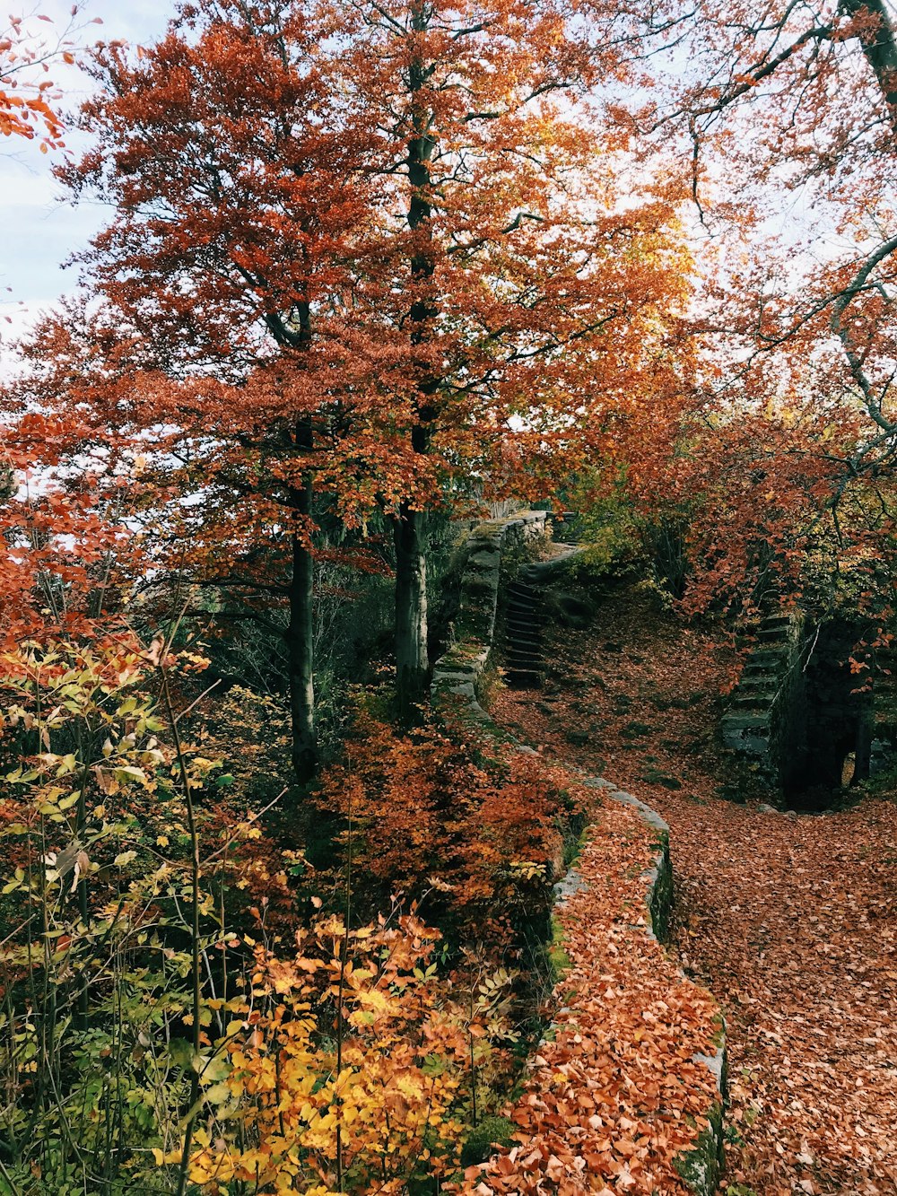 Tres orange et jaune