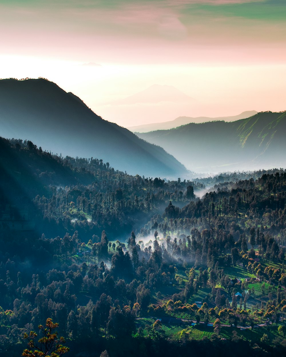 mountain covered with green leafed trees