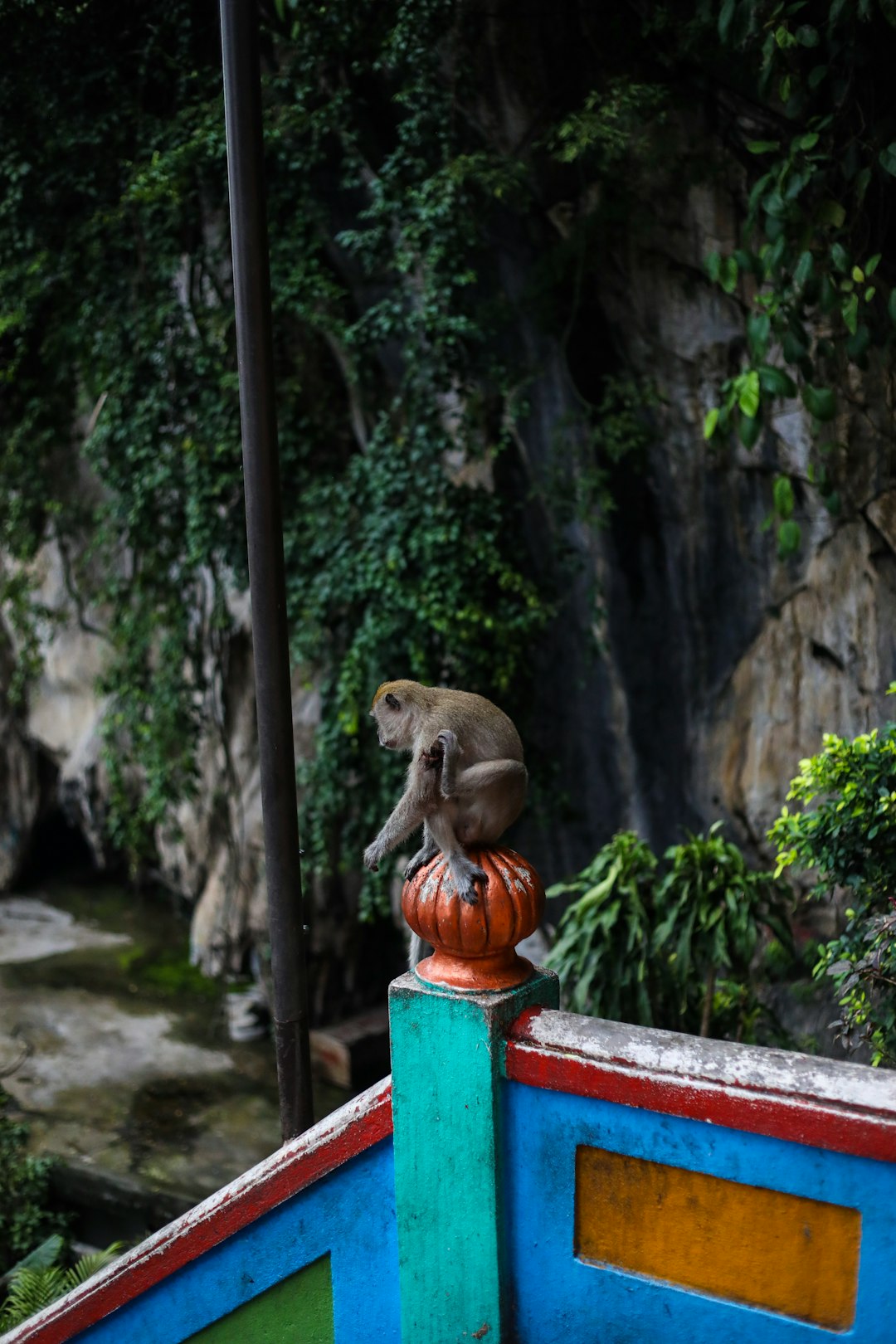brown monkey on orange pillar