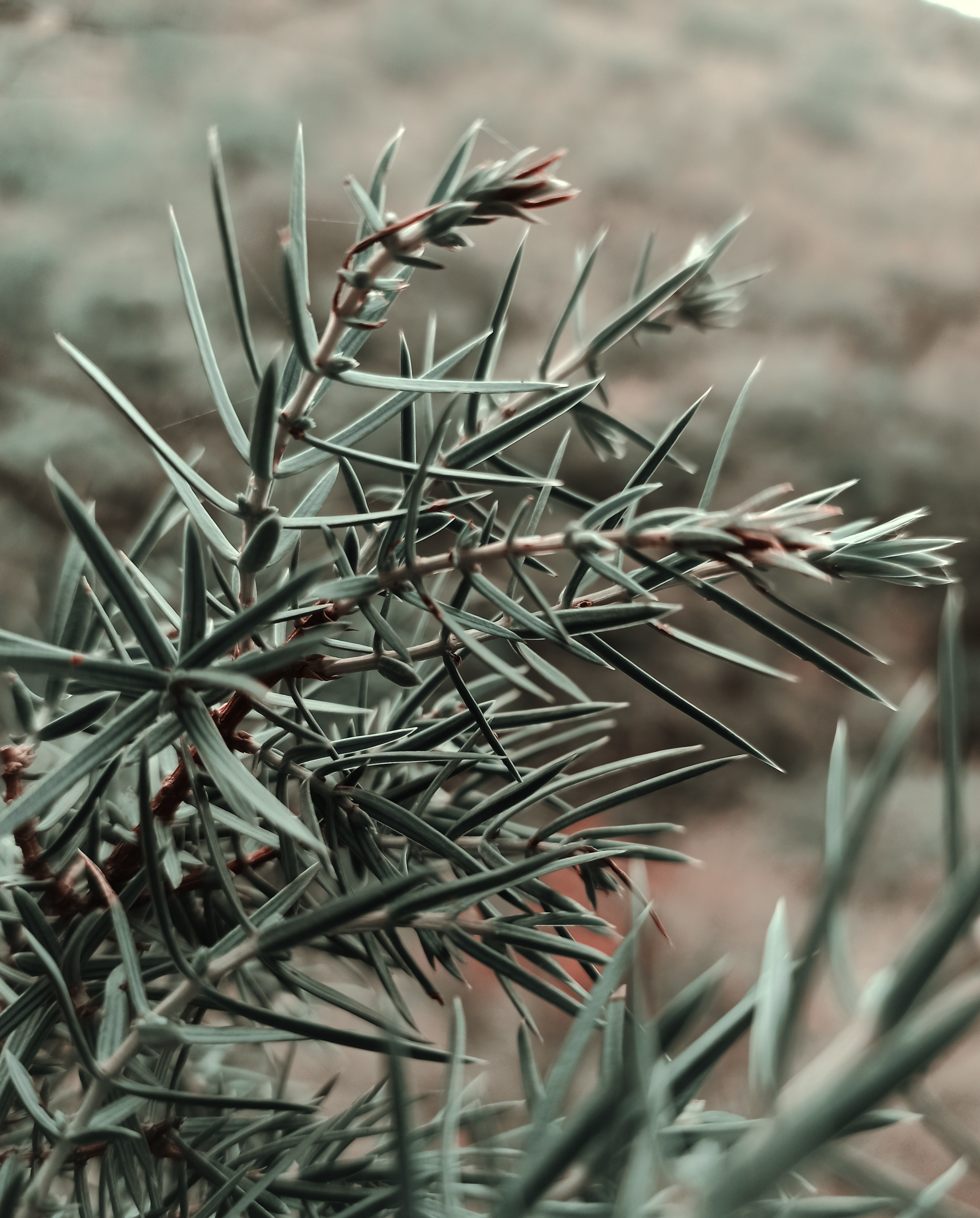 Photo by luka_tsikolia