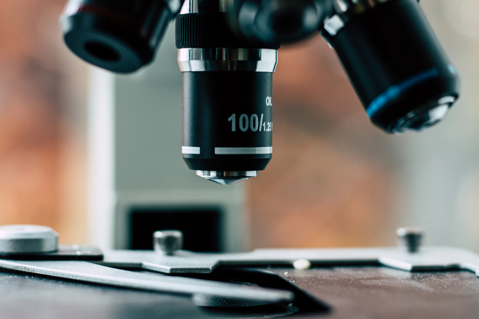 Fluorescence microscopy of cells, the kind FluorocellAI analyzes