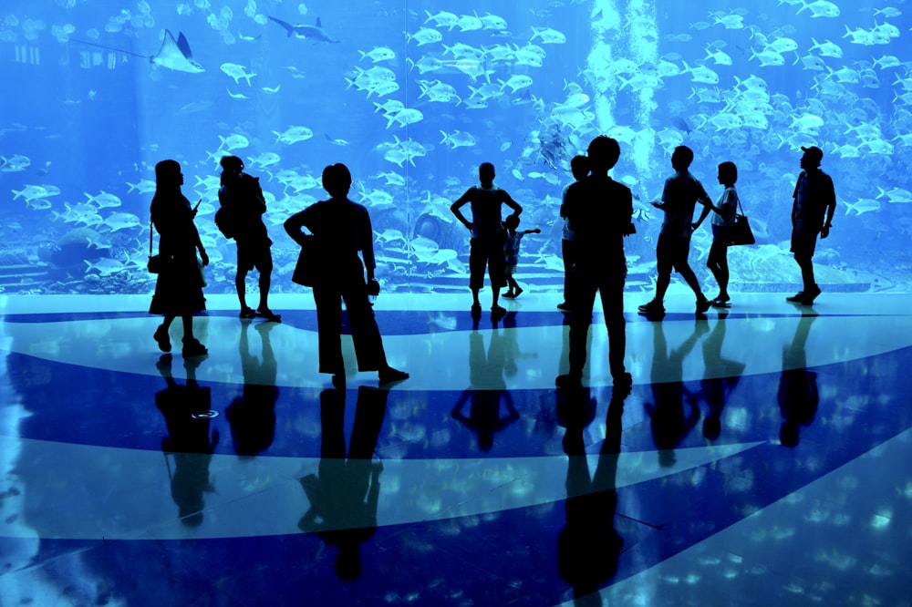 silhouette of people in front of acquarium