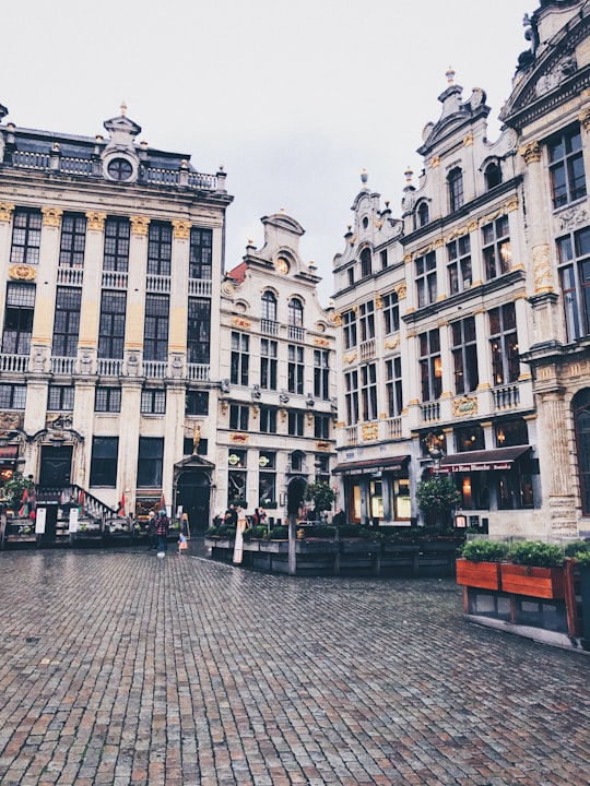 Grand Place of Brussels during daytime in Grand Place Belgium