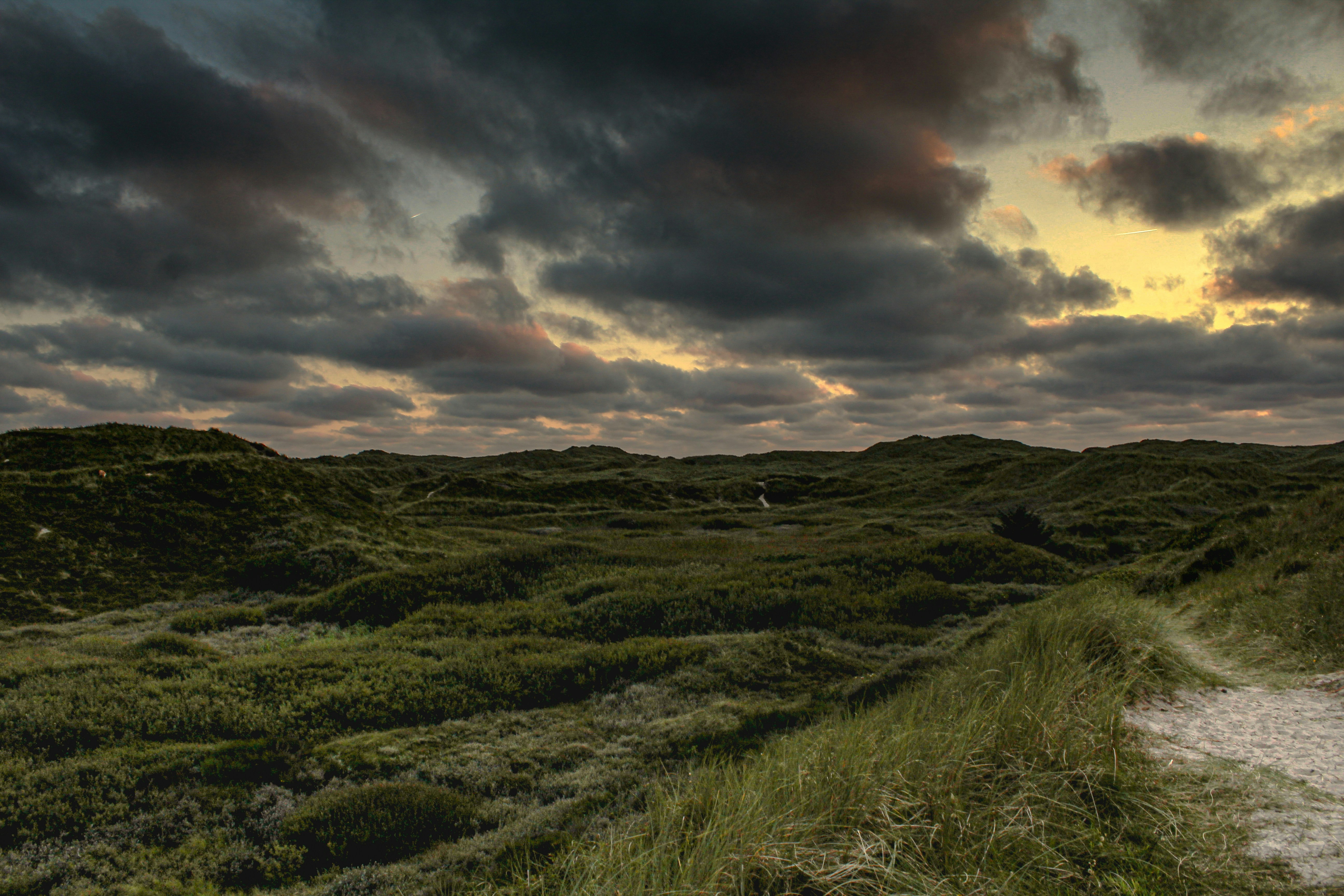 Photo by liam_arning