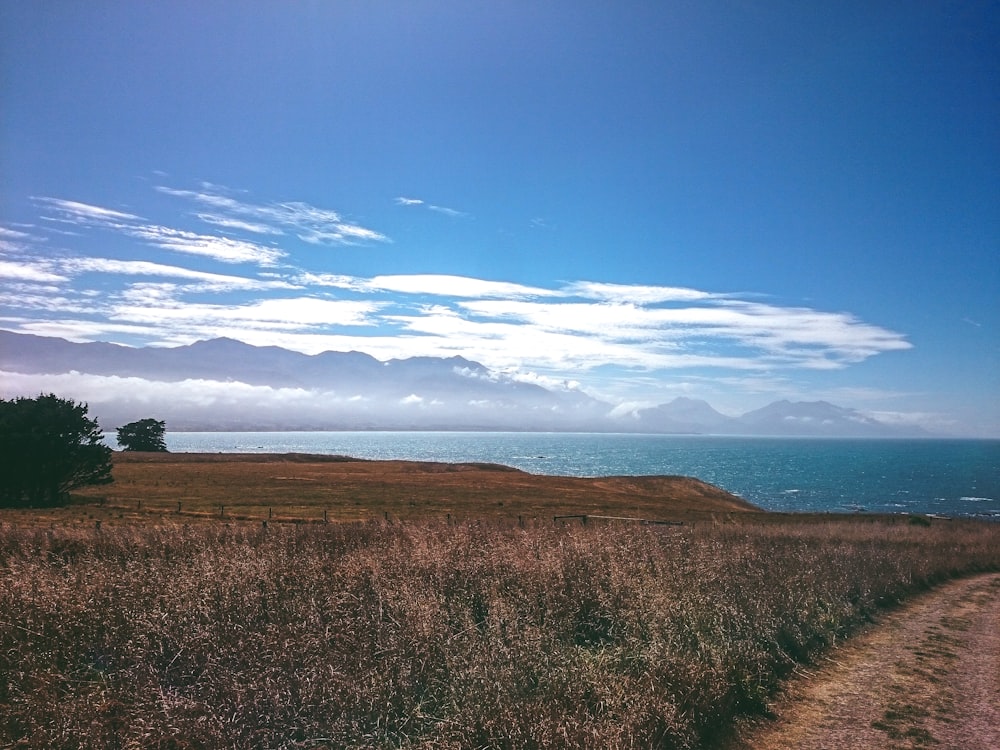 océan sous ciel nuageux