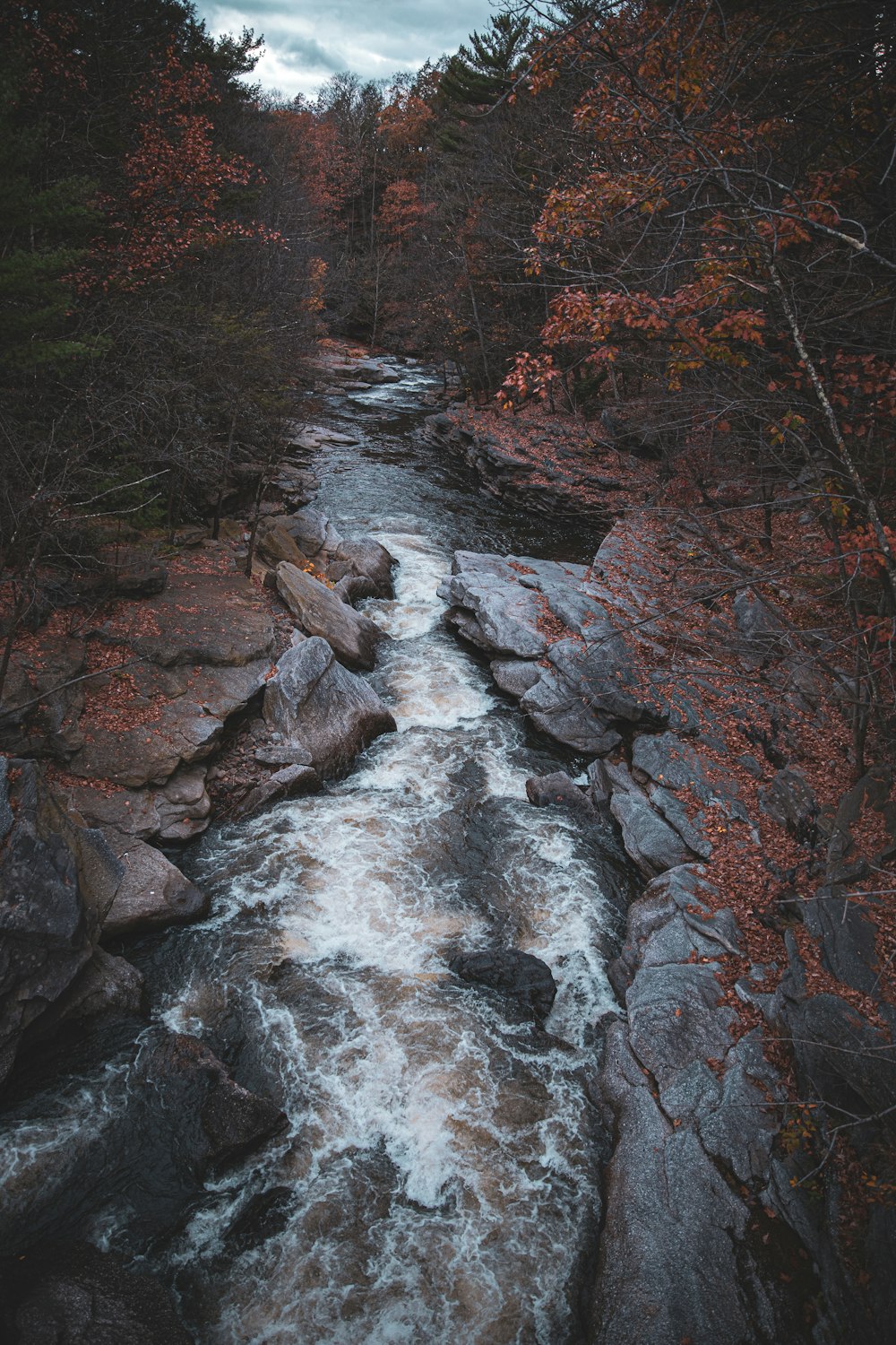 body of water during daytime