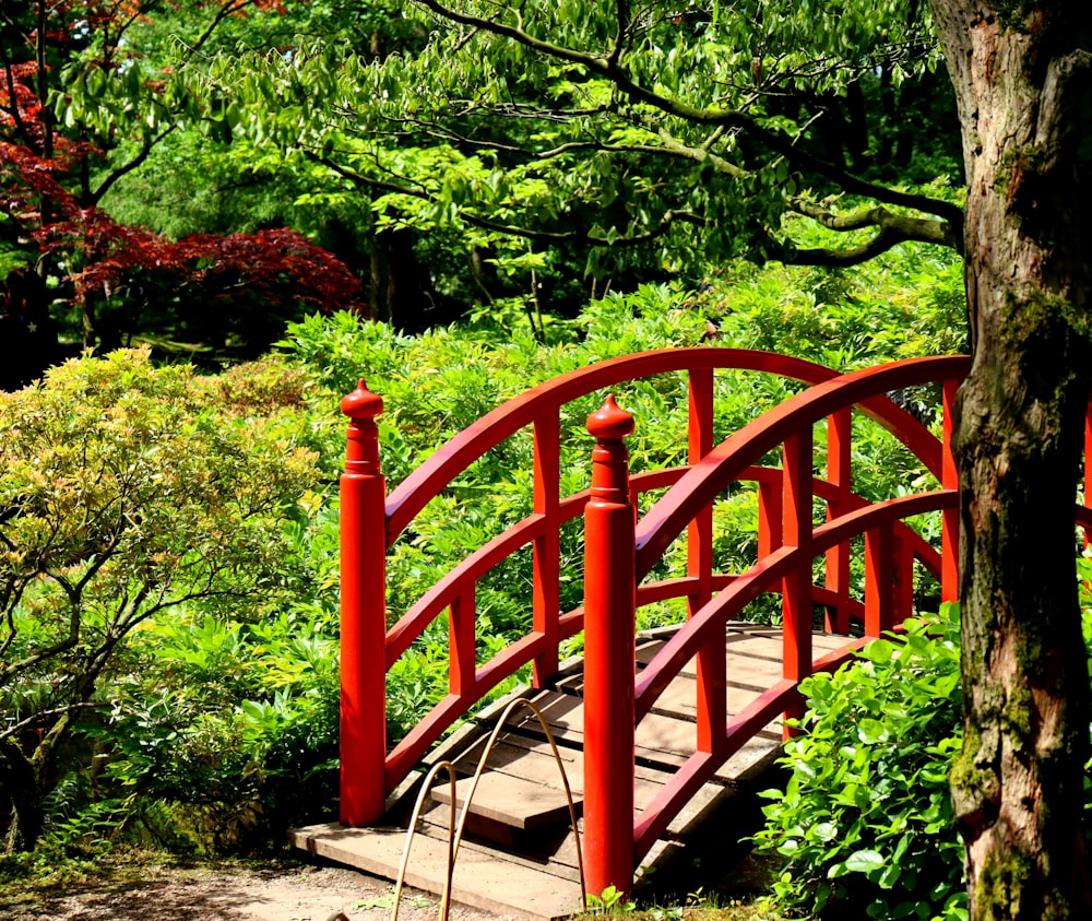red arch bridge between plants and trees