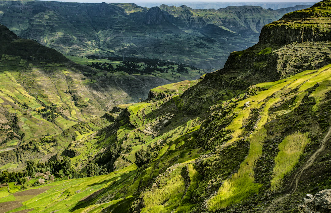 Budget 9-Day Scenic Route: Ethiopia & Kenya in April