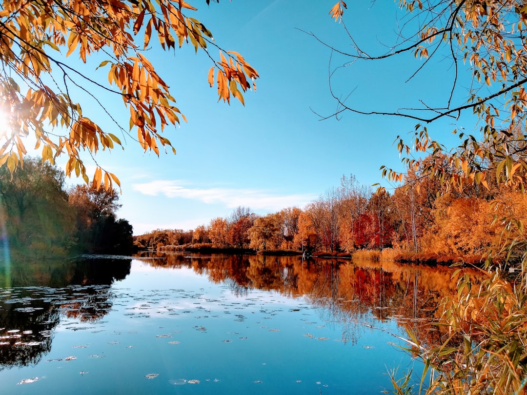 Waterway photo spot Parc Angrignon Old Port of Montreal