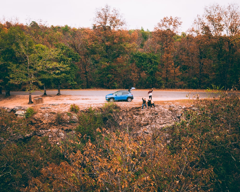 blue hatchback on road between trees