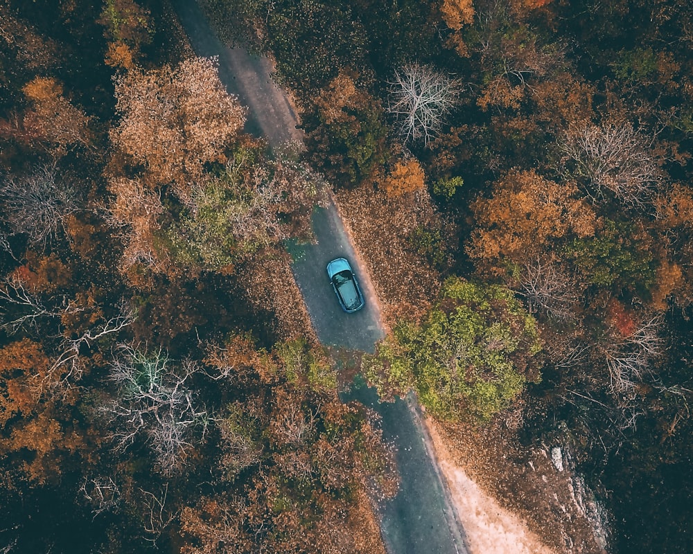 aerial photography of blue car on road