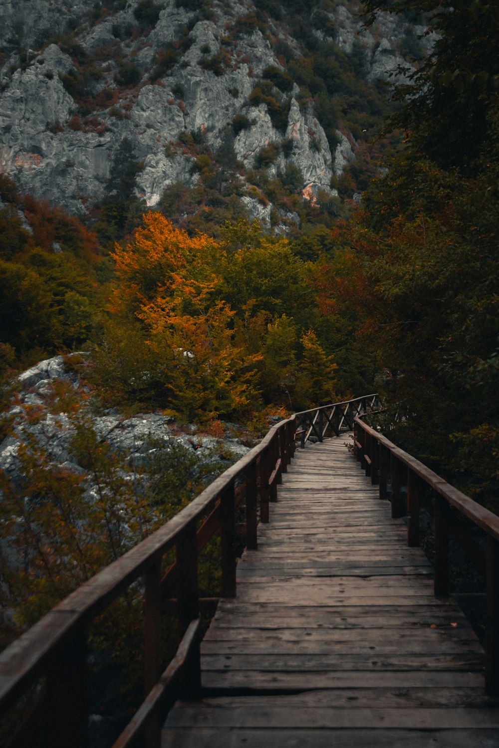 empty bridge