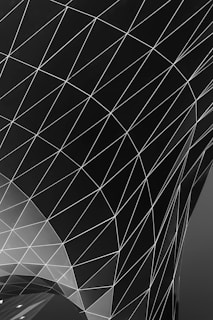black and white graphic illustration