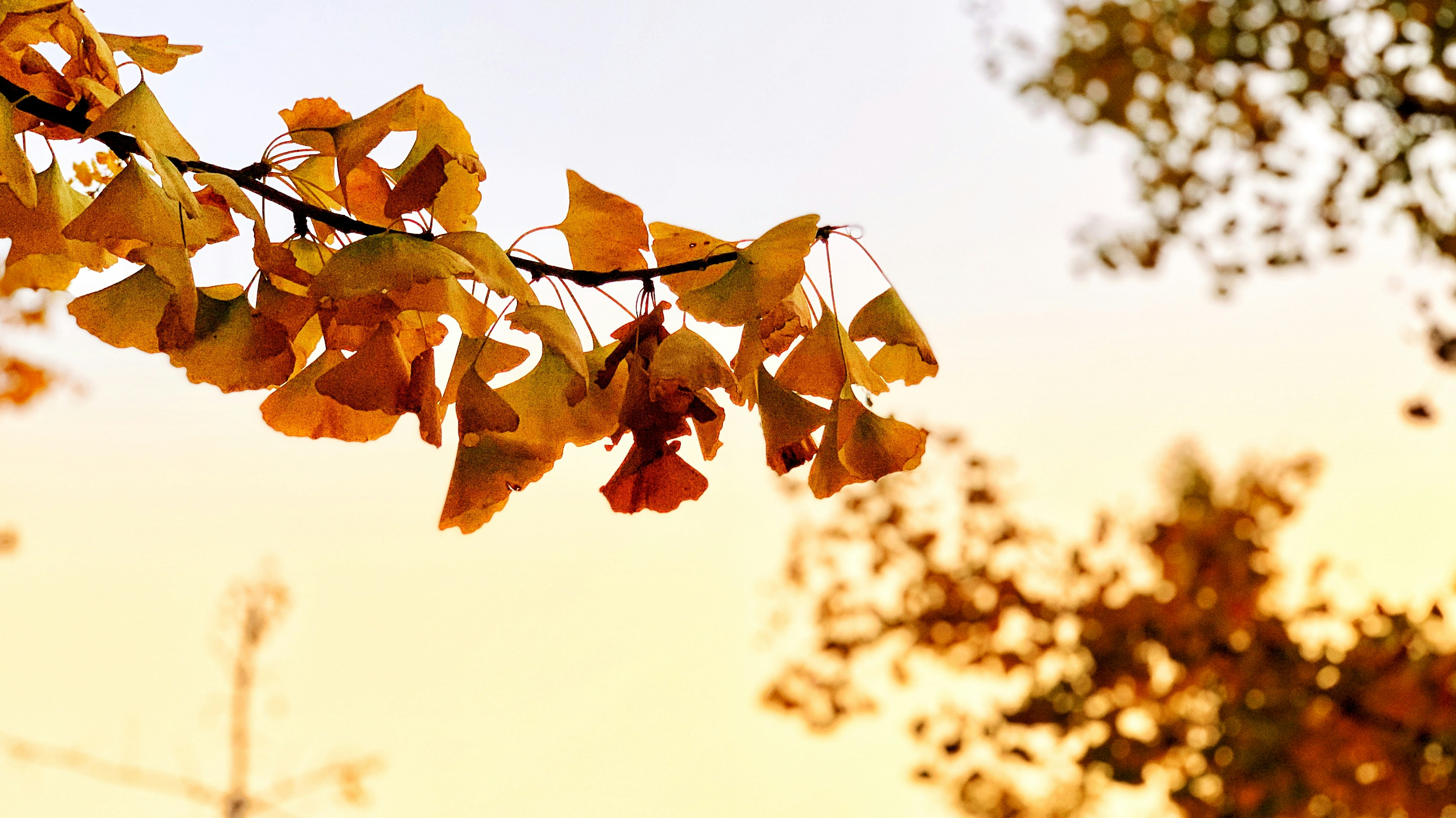 Photo by wooowwoowwow