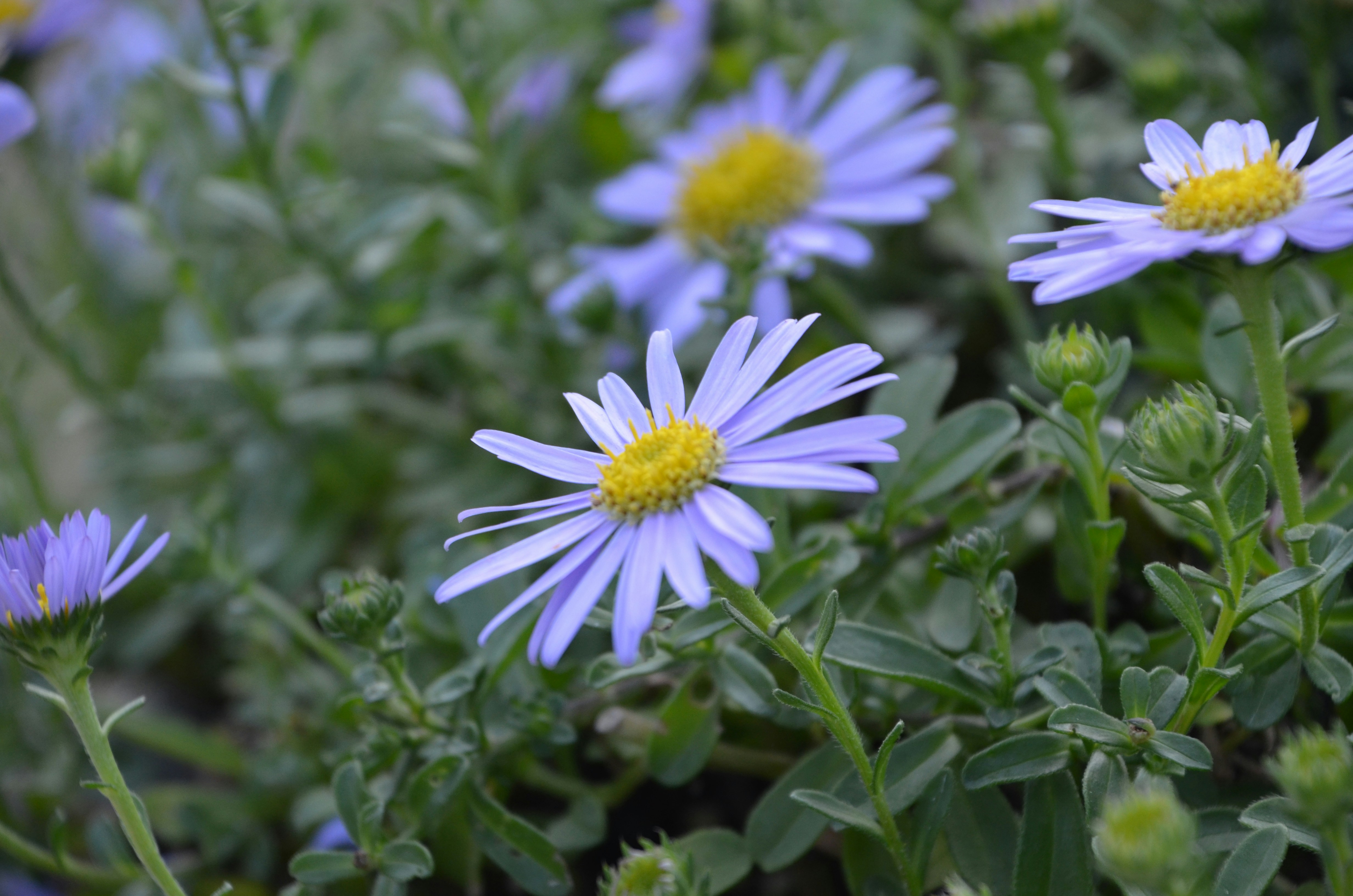 Photo by chapelbeach