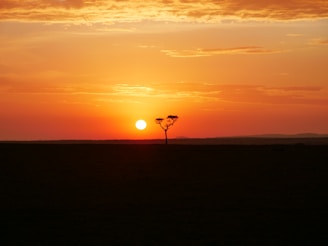 A vibrant photo of a happy traveler standing on a scenic Tanzanian savannah at sunset.