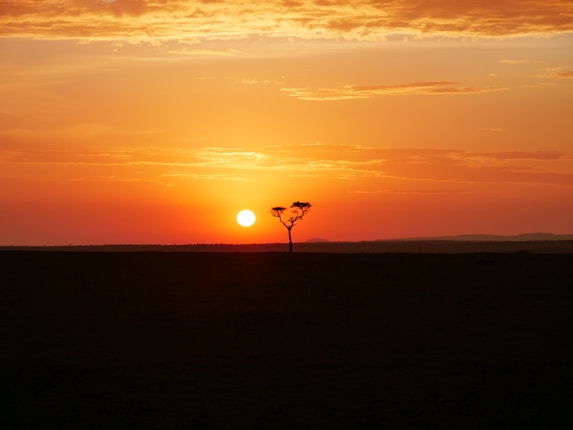 A striking sunset over a vast savannah with a lone tree silhouetted against the vibrant sky. The sun is near the horizon, casting warm hues of orange and red across the scattered clouds.