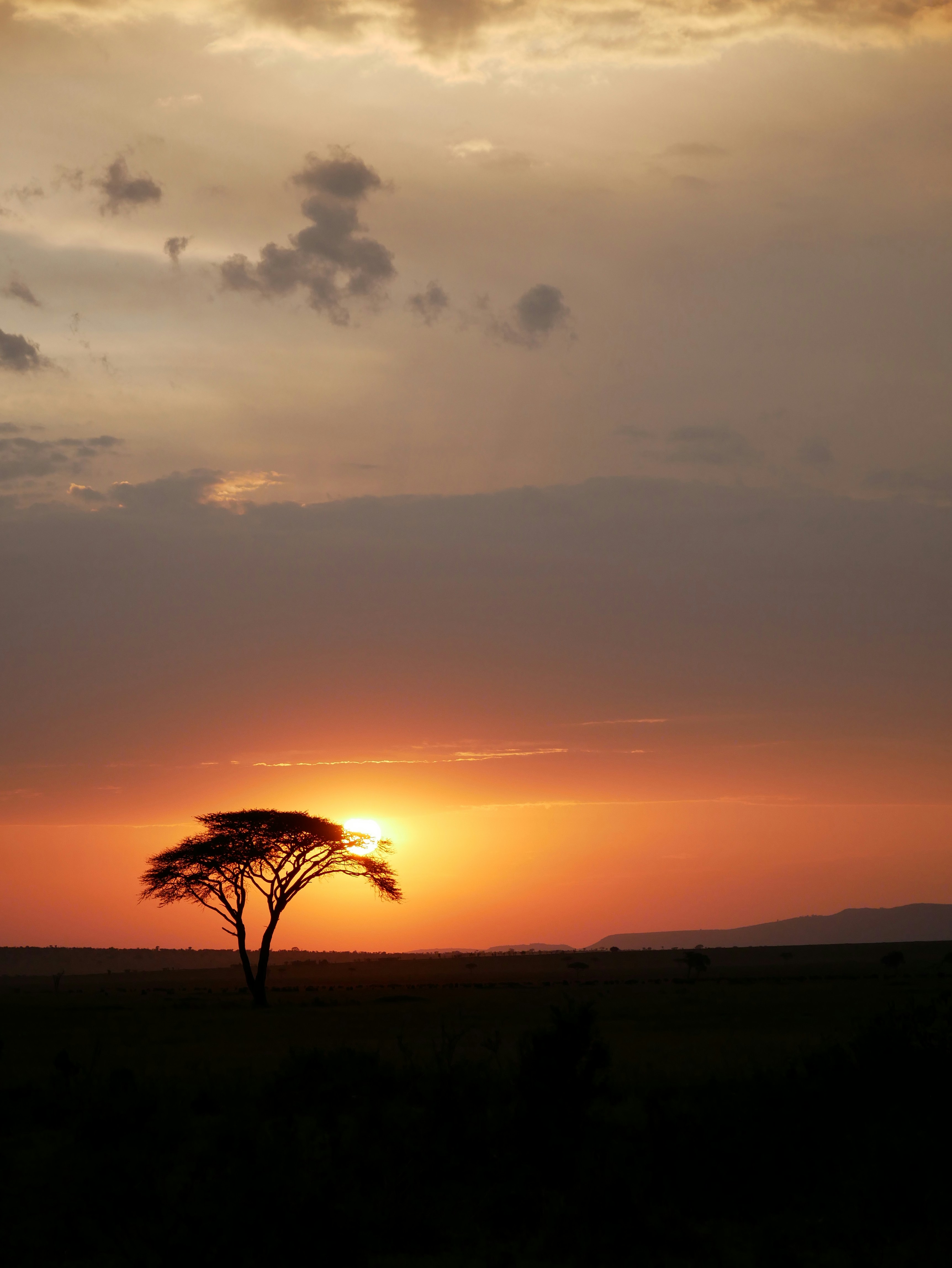 Photo by shinuna_eva