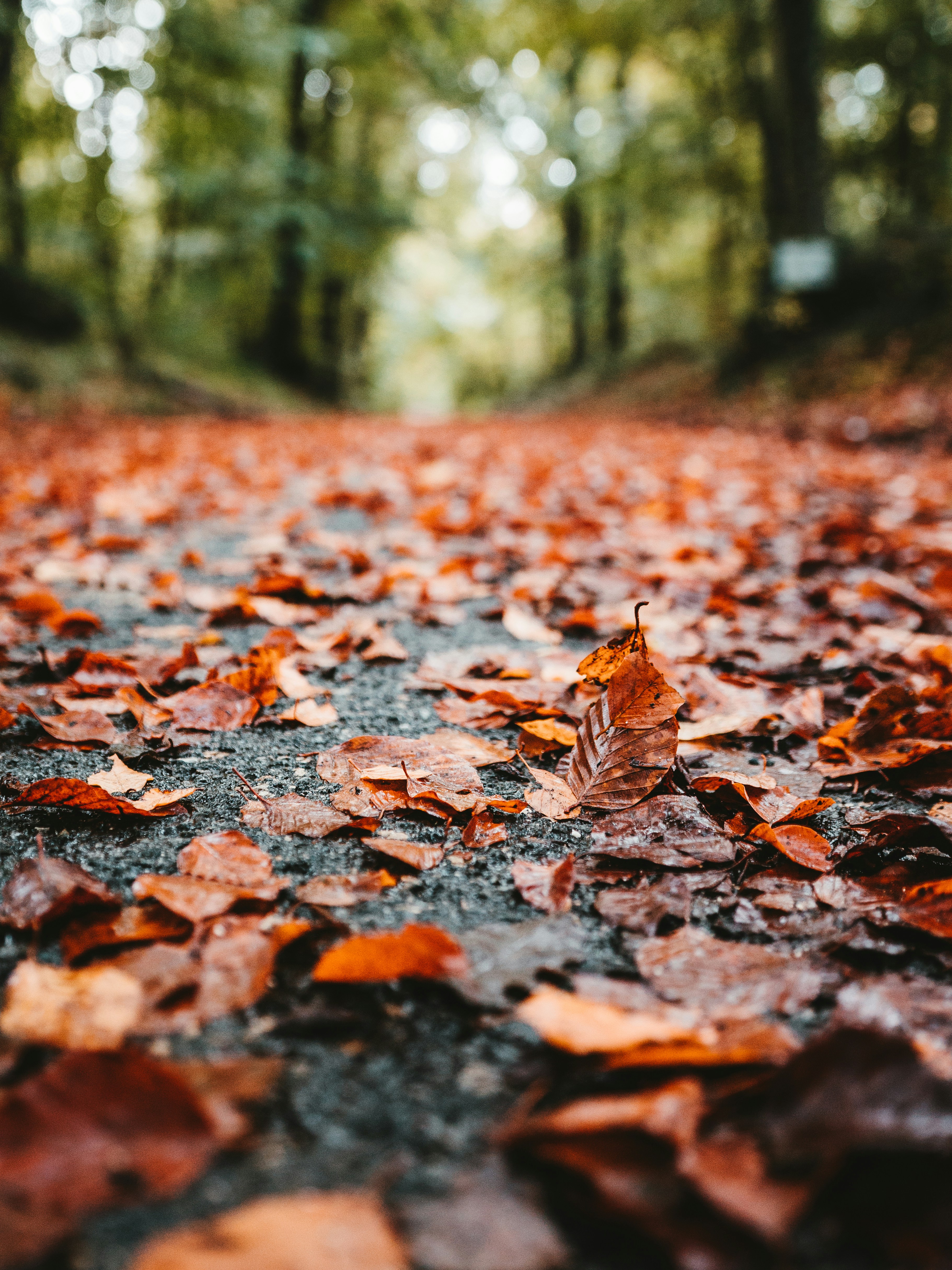 Photo by yan_berthemy_photography