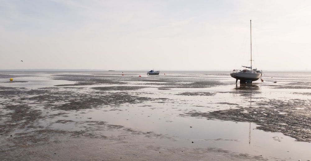 seashore and white boat