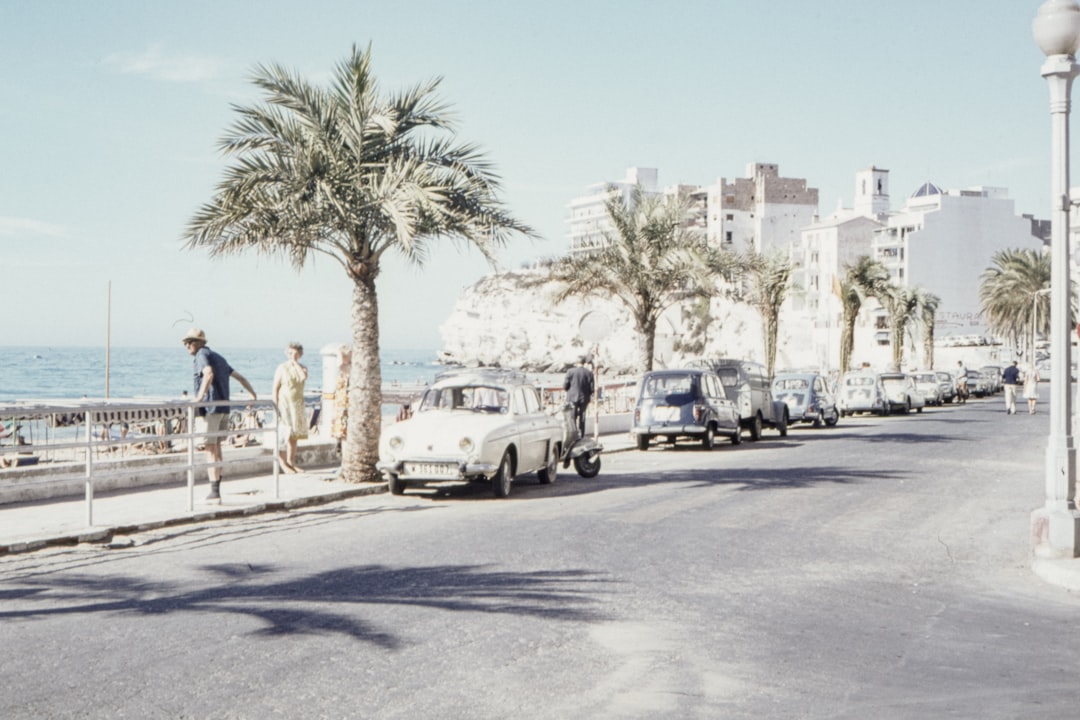 vehicles parked beside road