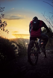 Cyclist riding on a forest trail during sunset.