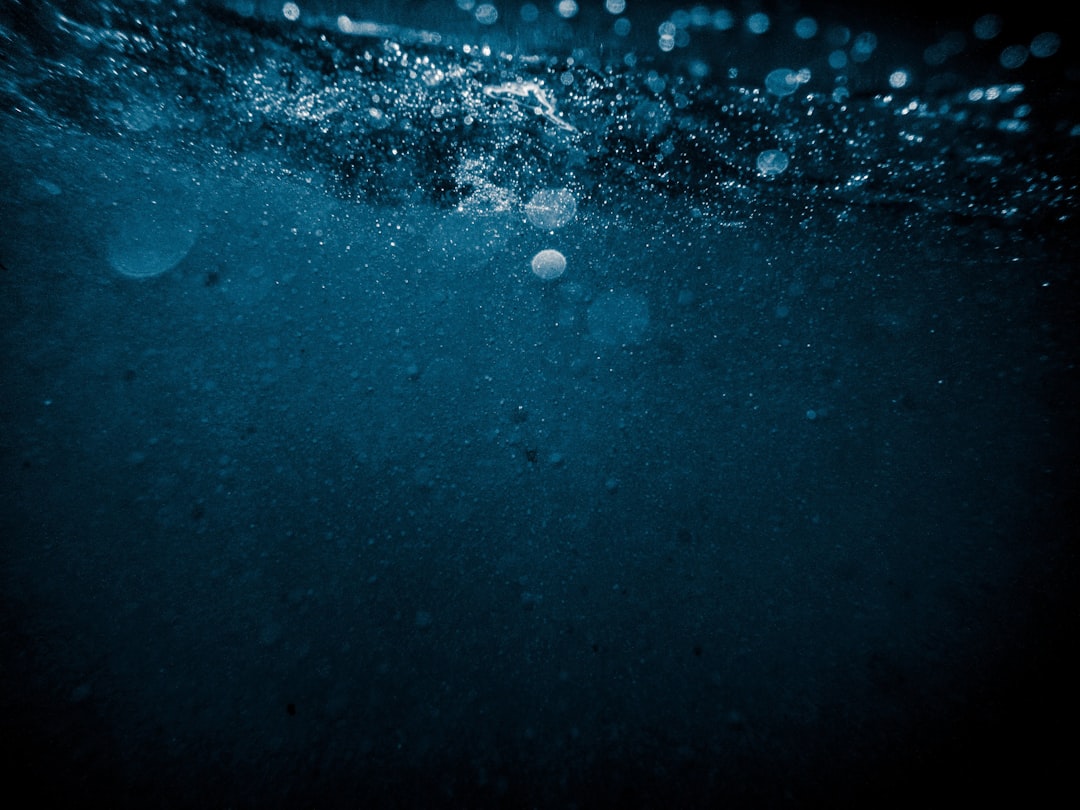 Underwater photo spot Praia dos Ingleses Brasil