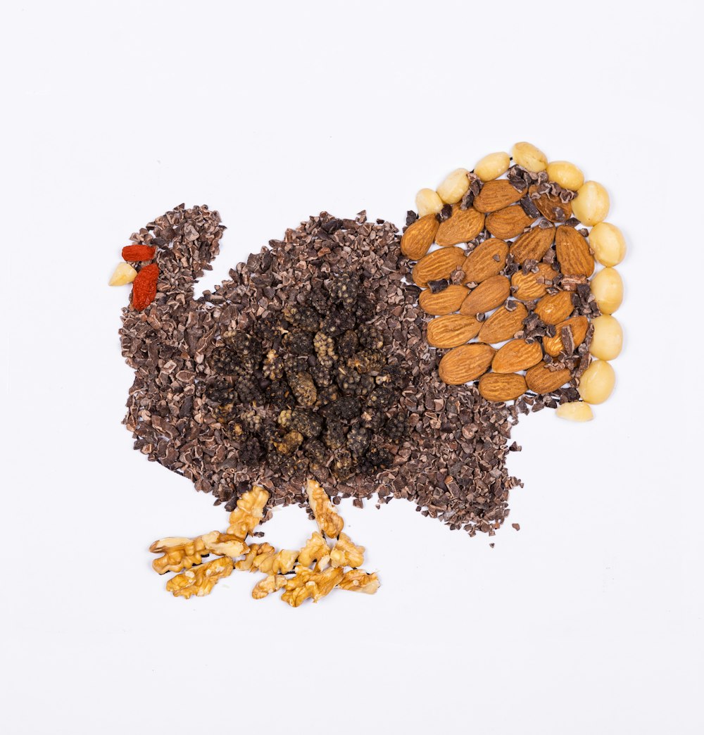 seeds illustration of rooster