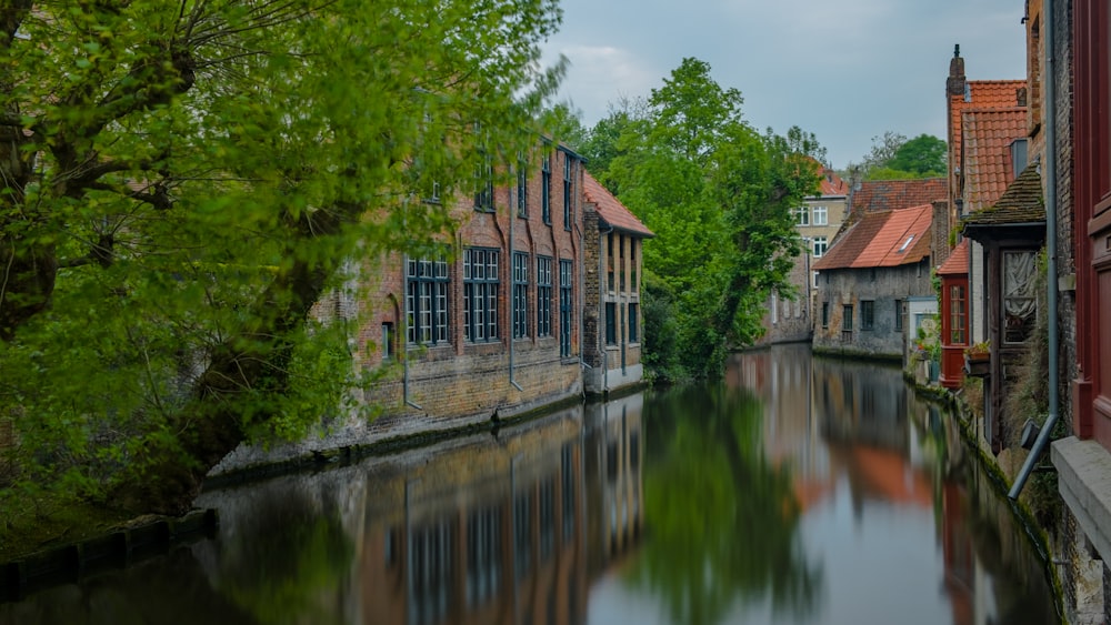 houses beside water stream