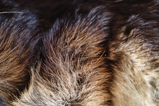 Close-up of luxurious faux fur apparel showcasing texture and detail.