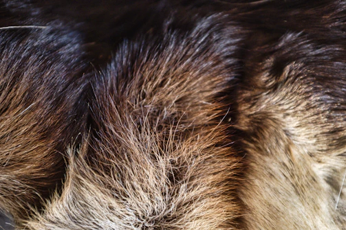 Close-up of luxurious faux fur apparel showcasing texture and detail.