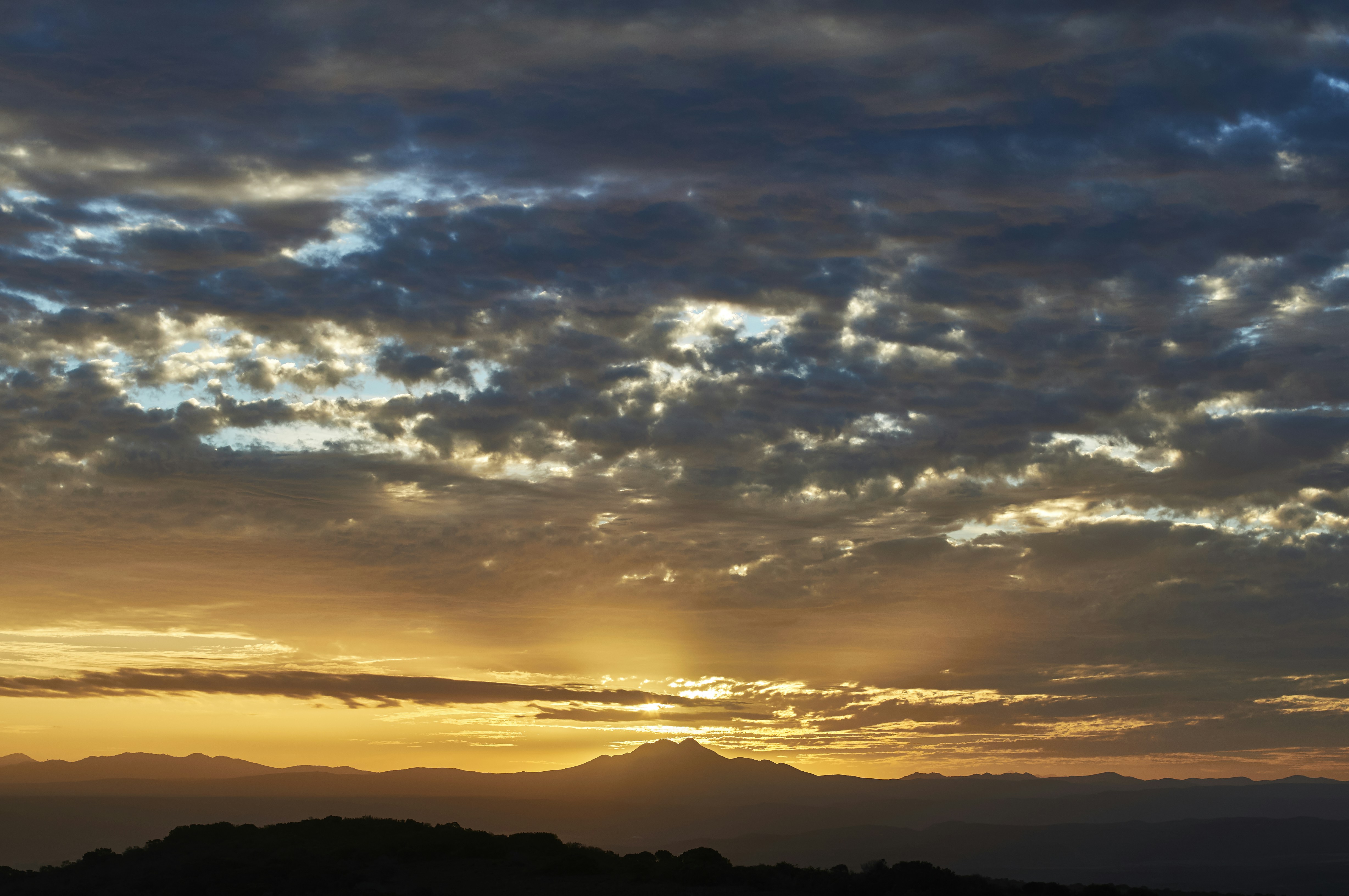 Photo by wolfgang_hasselmann