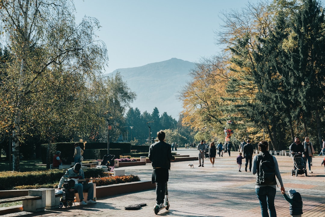 people on park