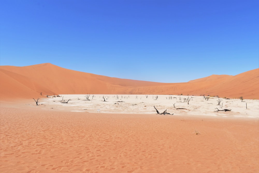 砂漠の真ん中のオアシスの写真 Unsplashの無料青い写真