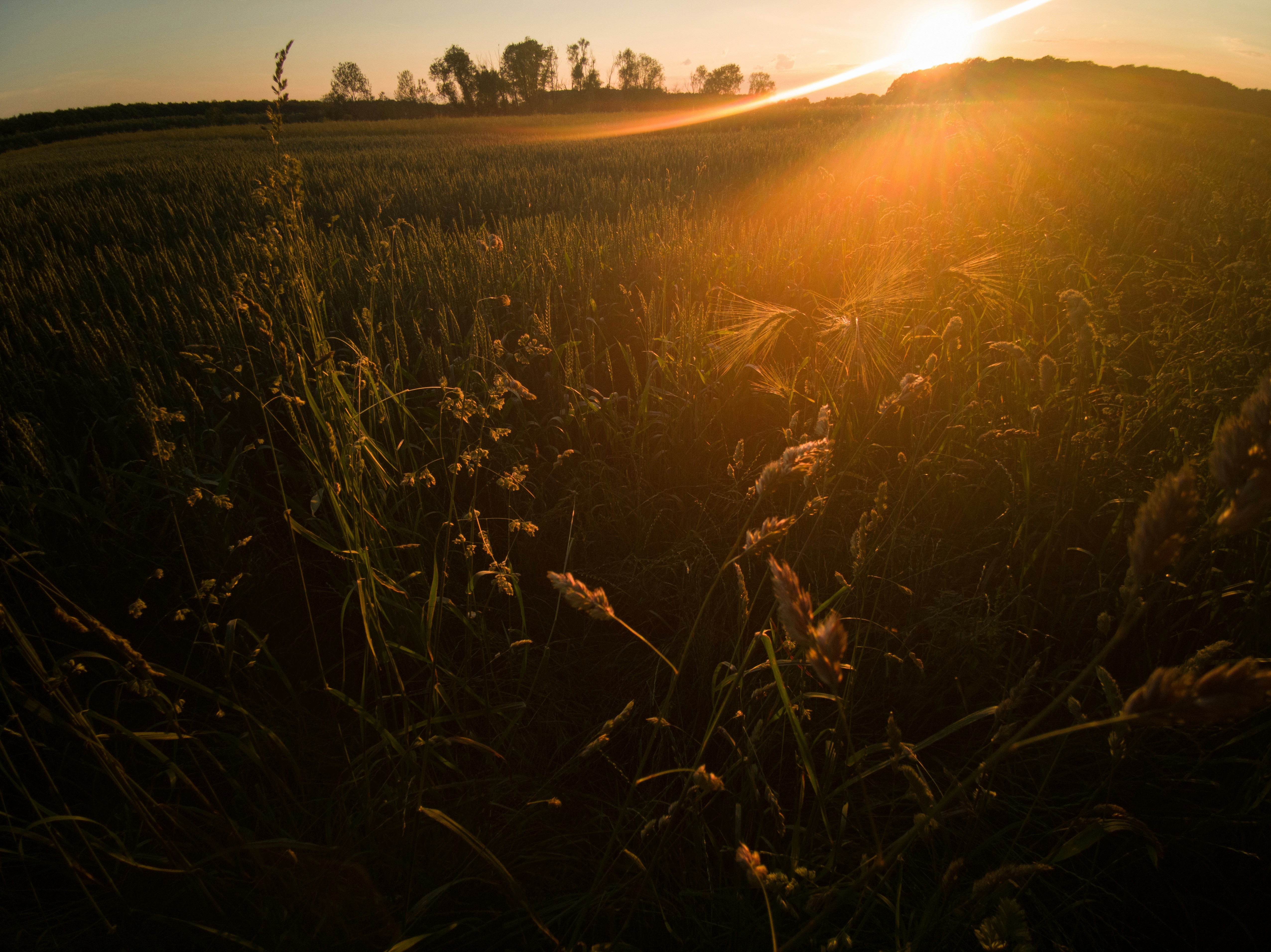 EtherGem header image