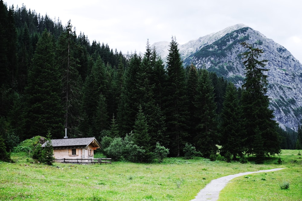 brown cabin near green trees and mountain
