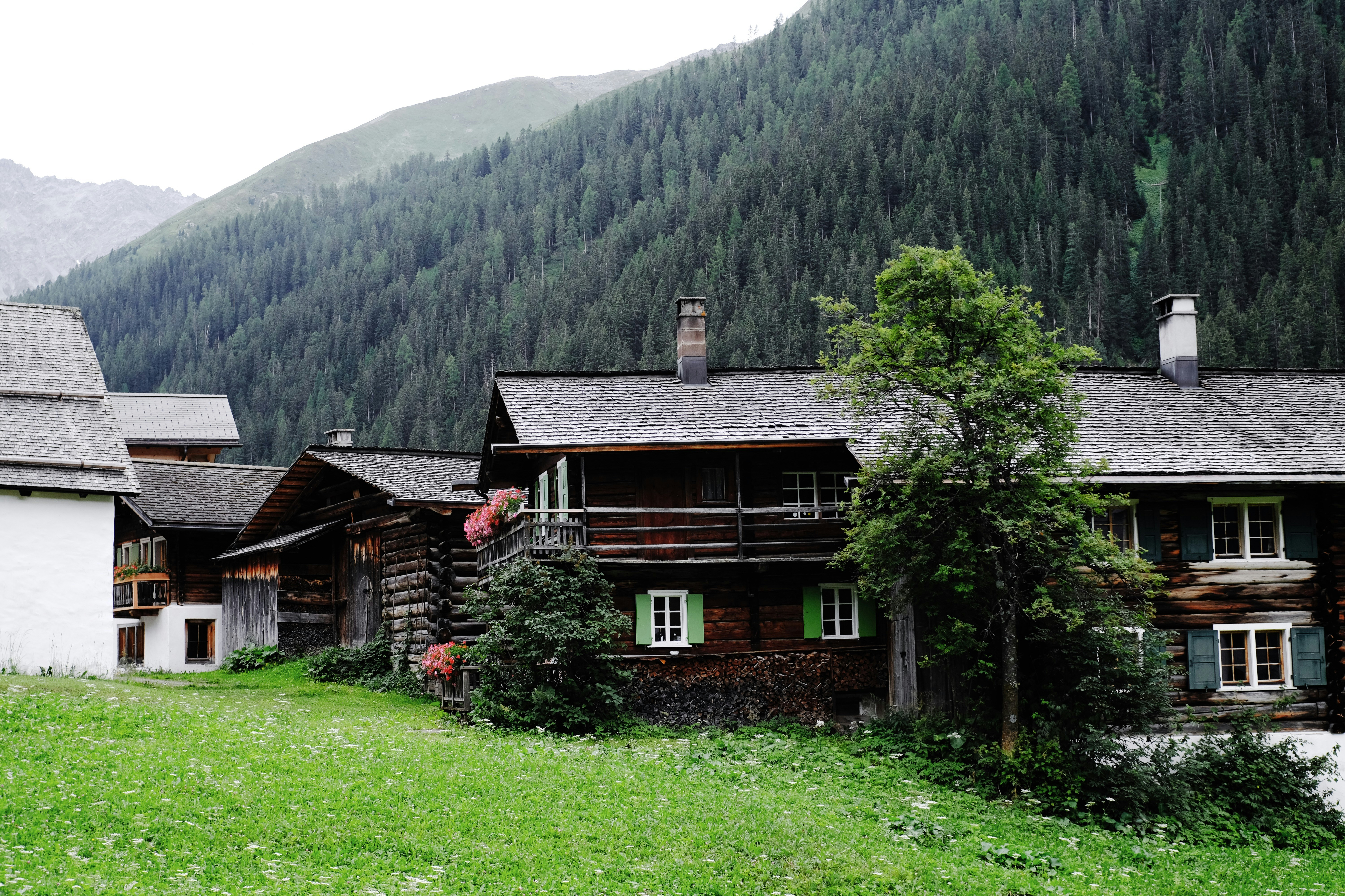 Photo by juliusreinhardt