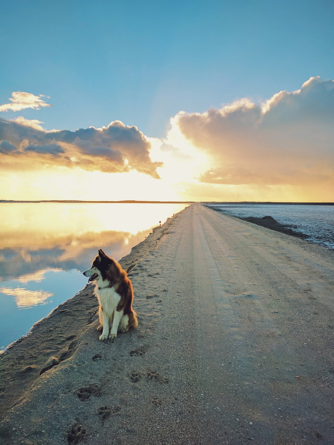 travelers stories about Beach in Guerrero Negro, Mexico